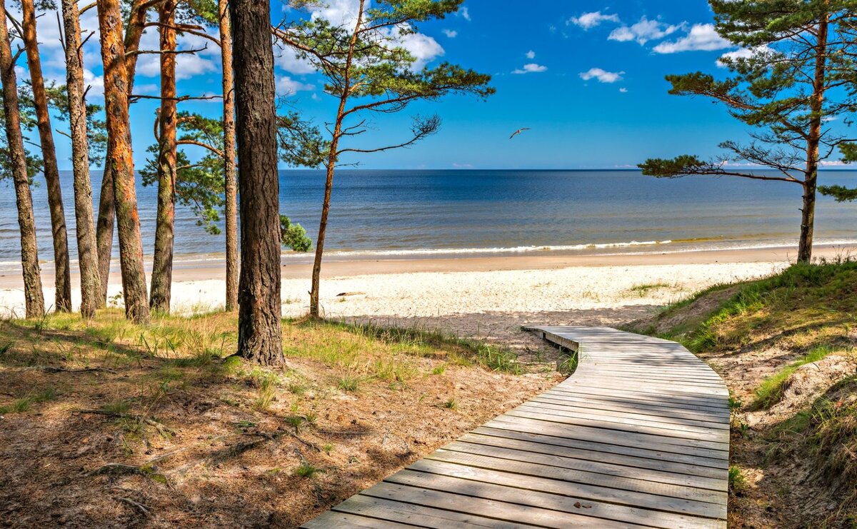 Jūrmala — pine forest meeting the white quartz sand of the Baltic Sea, 25 km from Riga.