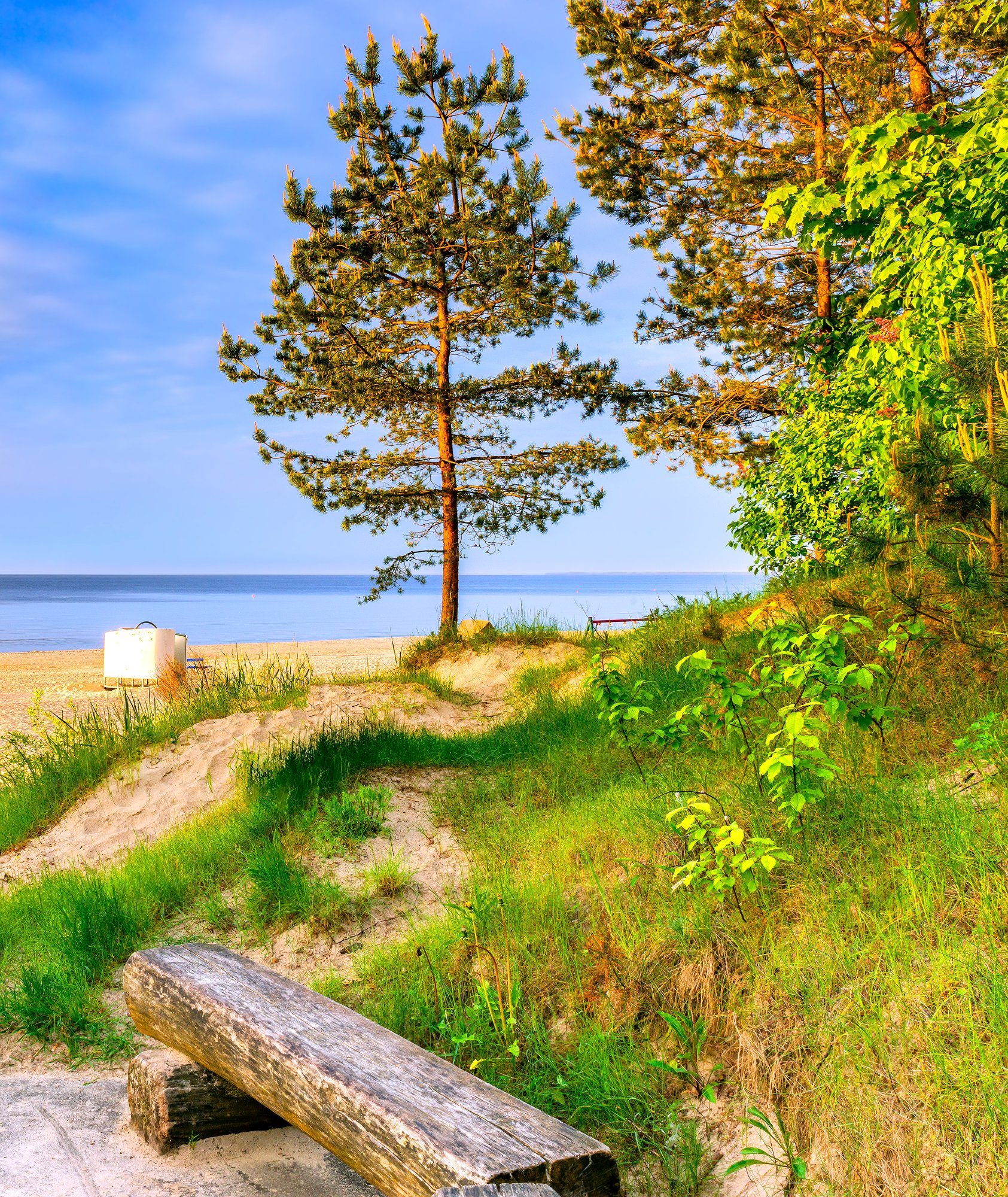 Beach Pine Bench in Jūrmala