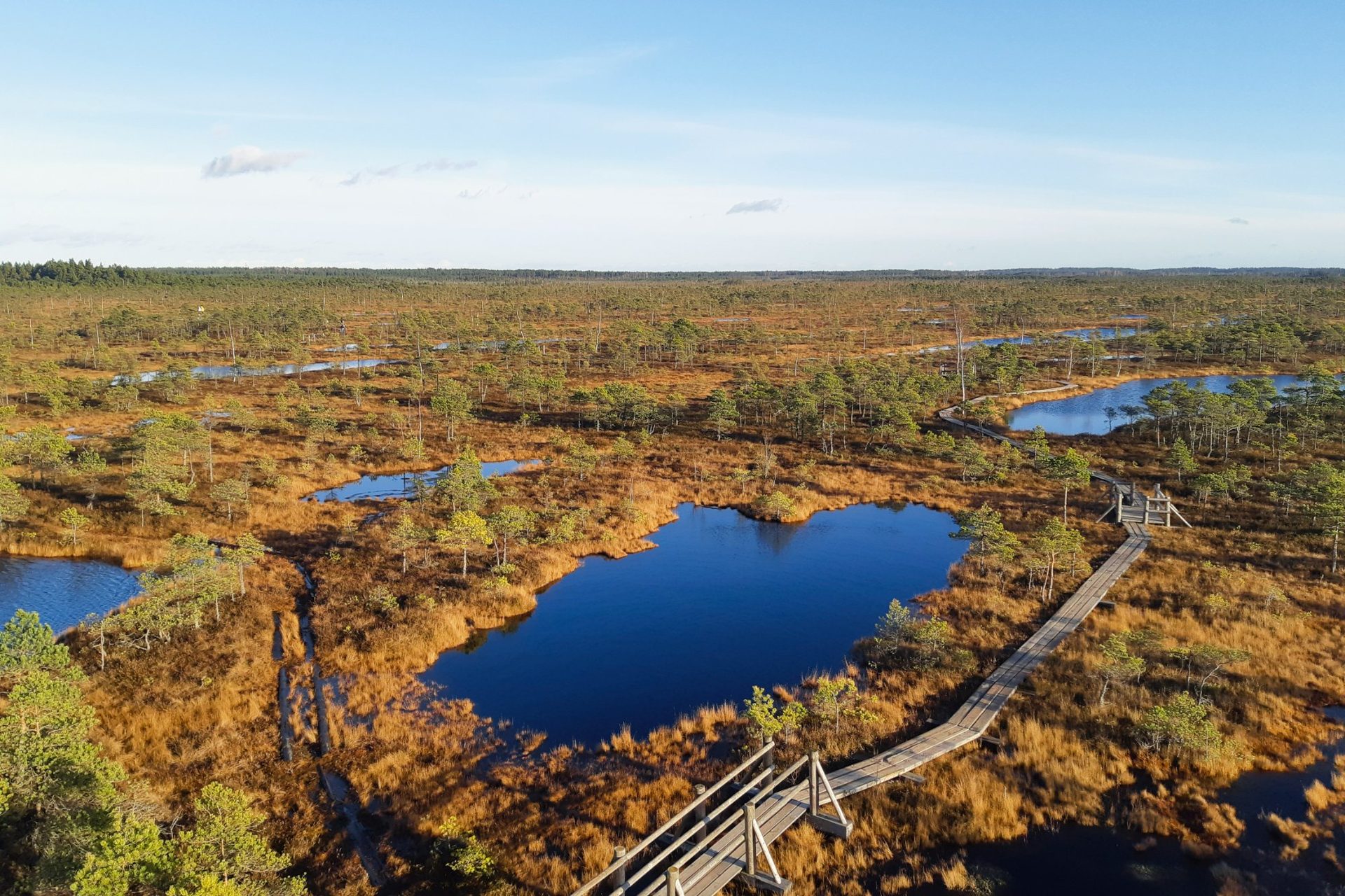 The Great Ęemeri Bog in autumn colours from the observation tower