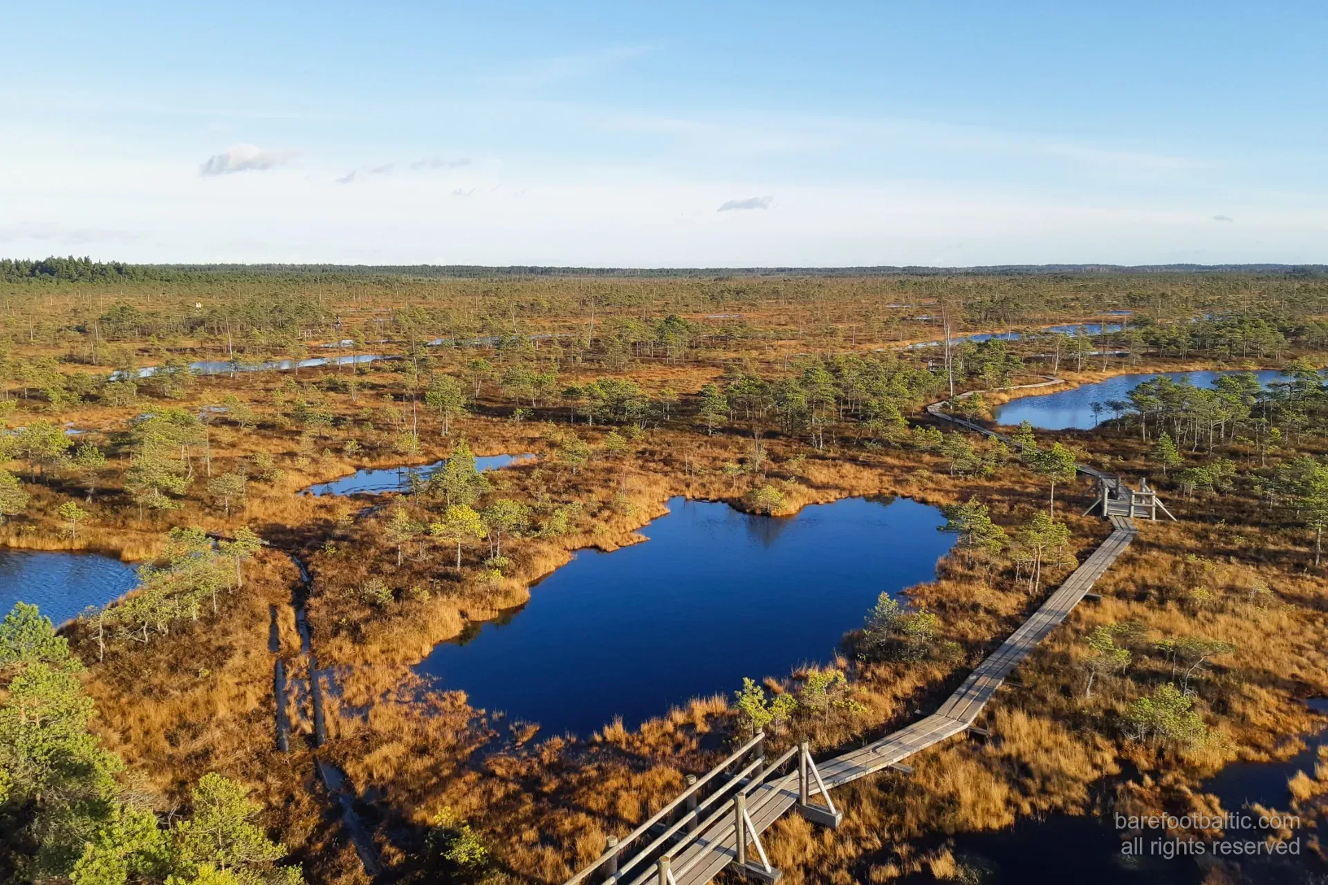 The Great Ķemeri Bog in autumn colours from the observation tower
