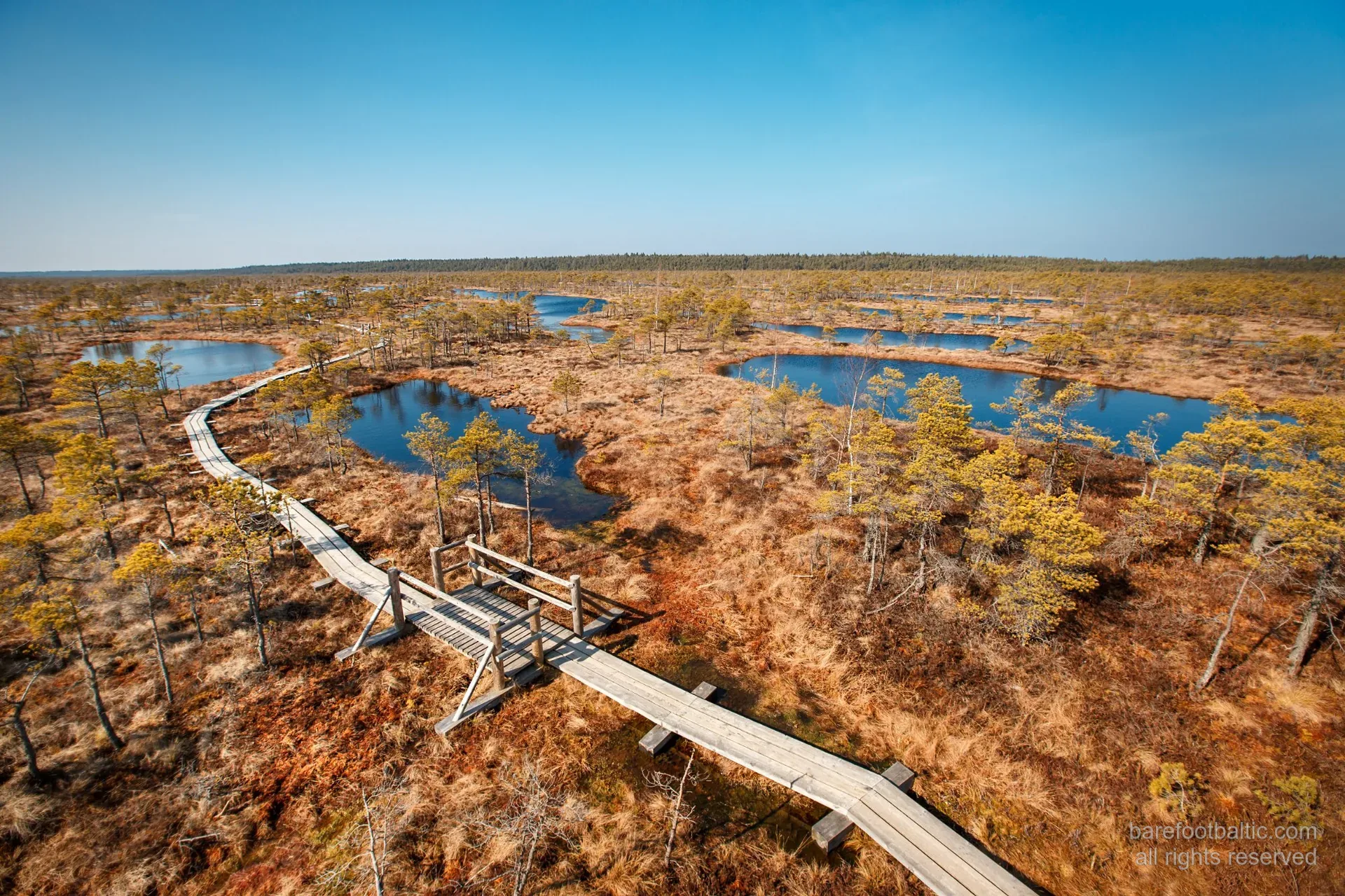 Aerial view of the Great Ķemeri Bog boardwalk winding past mirror-dark pools