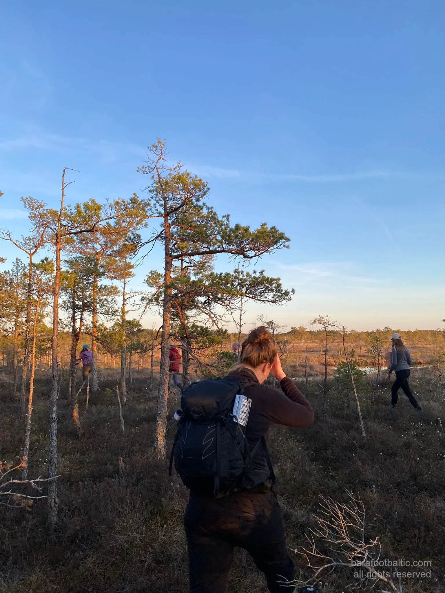 A guest photographing the bog at golden hour