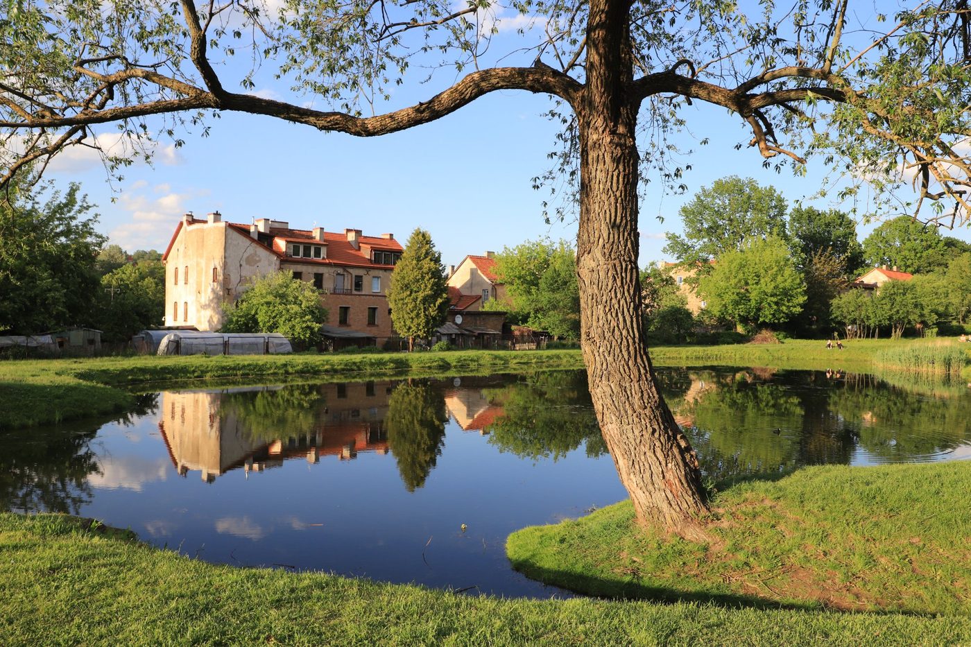Uzupis District Pond Greenery in Vilnius