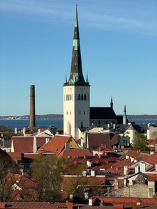 Old Town St Olafs Church Sea View in Tallinn