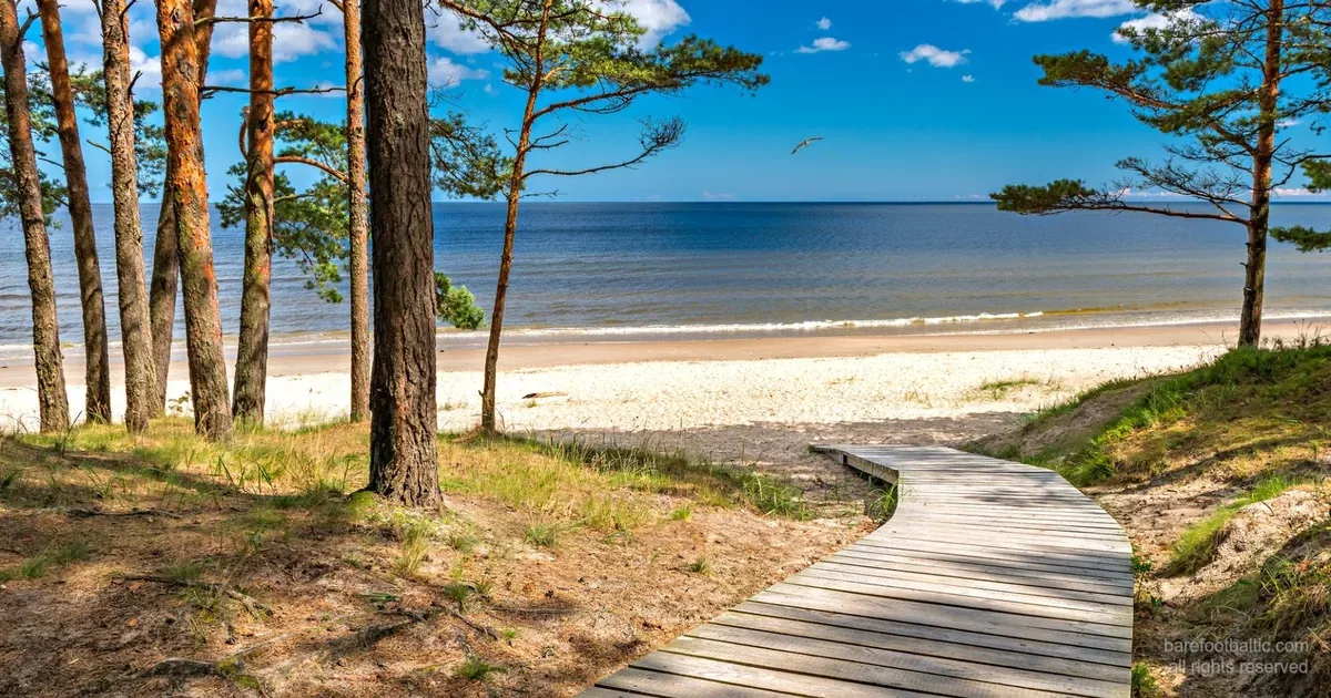 Jūrmala — pine forest meeting the white quartz sand of the Baltic Sea, 25 km from Riga.